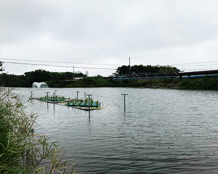午夜福利伦理午夜福利伦理沉水式午夜福利电影在线观看使用方便噪音小！