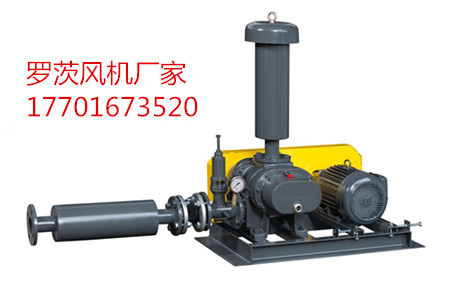 罗茨鼓午夜福利电影在线观看