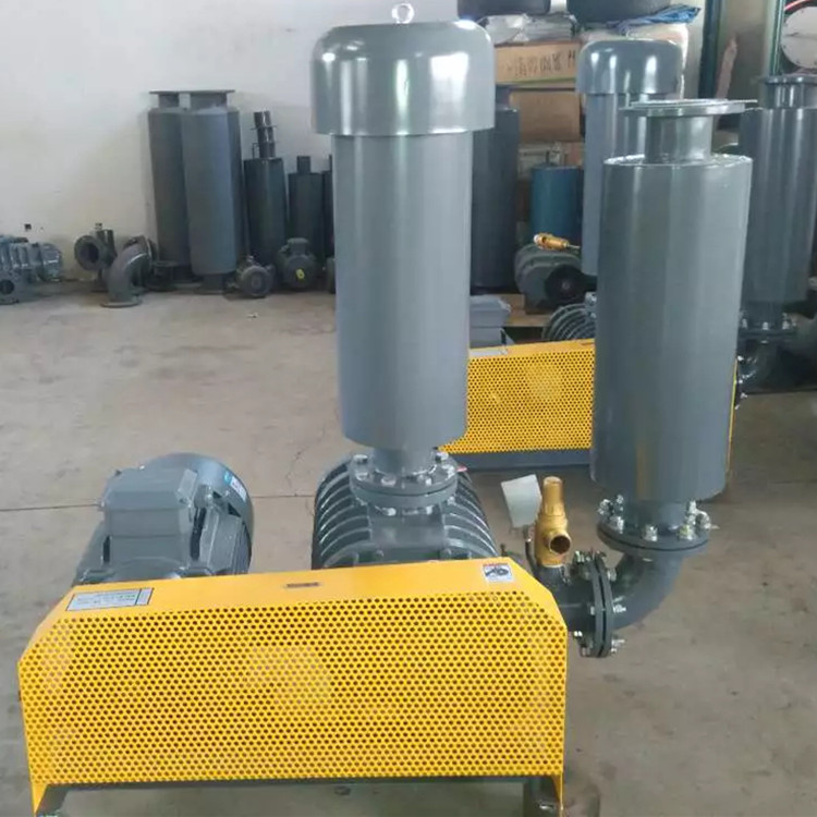 导致罗茨午夜福利电影在线观看风量不足的原因