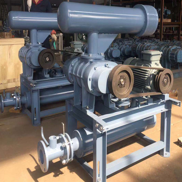 造成罗茨鼓午夜福利电影在线观看齿轮损坏的原理与处理方法