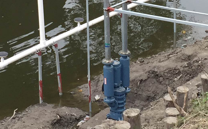 沉水午夜福利电影在线观看安装实拍下