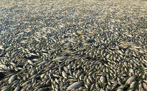 沉水午夜福利电影在线观看能否通过涂层技术提升耐腐蚀性