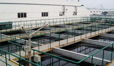 养殖午夜视频免费在线